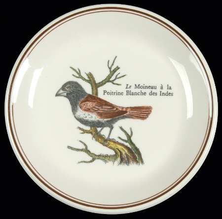 Paradiso (Brown Trim & Band) Coaster