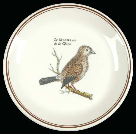 Paradiso (Brown Trim & Band) Coaster