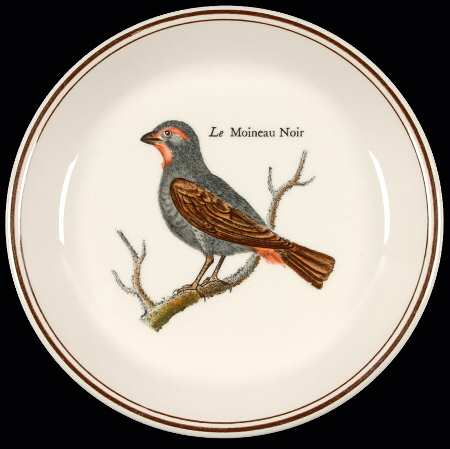 Paradiso (Brown Trim & Band) Coaster