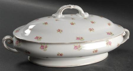 VIT22 Oval Covered Vegetable