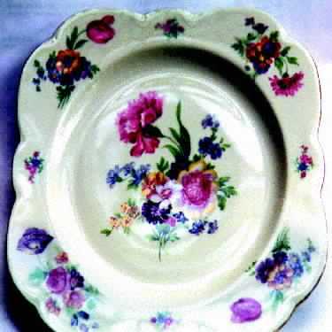 237 Dinner Plate