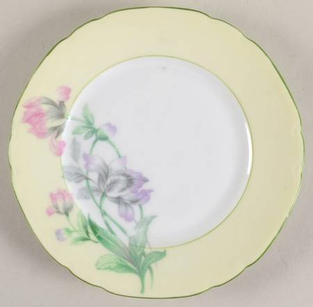 VIT111 Bread & Butter Plate