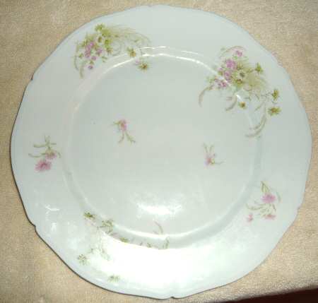 VNN47 Dinner Plate