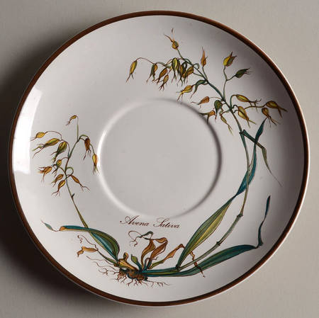 Botanica Saucer for Oversized Cup