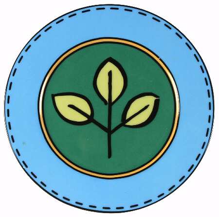 Novi Salad Plate