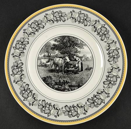 Audun Ferme Salad Plate by Villeroy & Boch