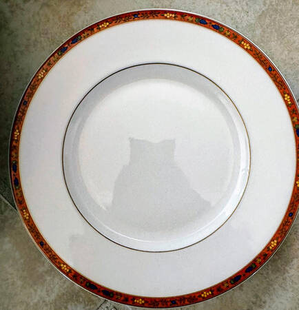 Celine Fruits Salad Plate