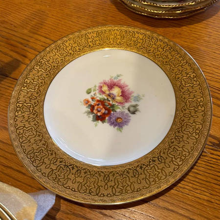 VIG73 Dinner Plate