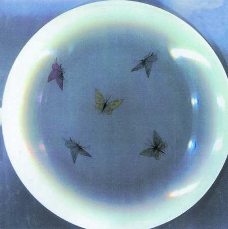 VIG75 Dinner Plate
