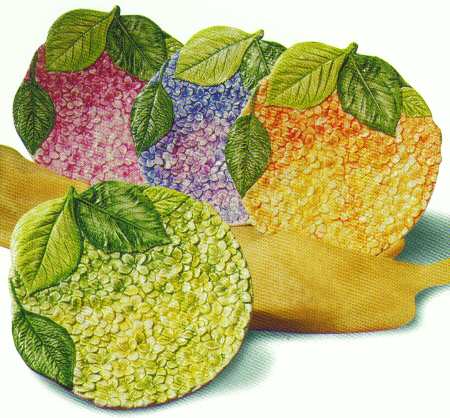 Isabelle's Garden Floral Salad Plate