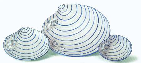 Blu Marina Shell by Vietri (Italy)