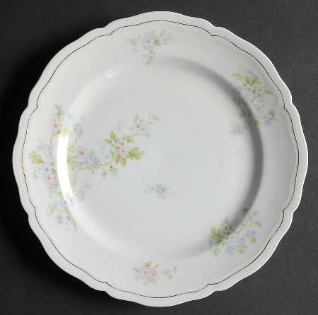VNN15 Salad Plate