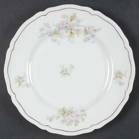 VNN15 Salad Plate