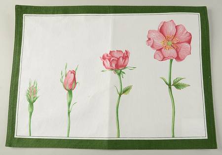 Flora Reversible Cloth Placemat