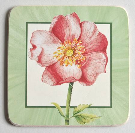 Flora Square Corkback Coaster by Villeroy & Boch