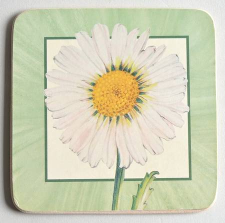 Flora Square Corkback Coaster by Villeroy & Boch
