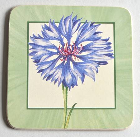 Flora Square Corkback Coaster