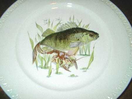 VIL80 Dinner Plate