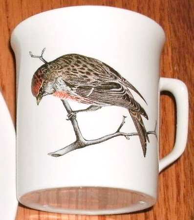 VIL89 Flat Cup & Saucer Set