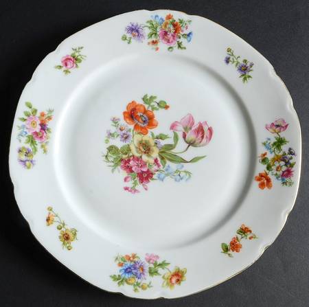 VIT220 Dinner Plate