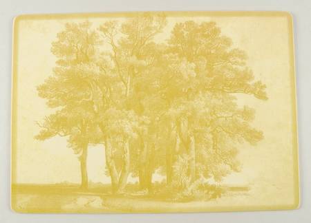Parkland Corkboard Placemat