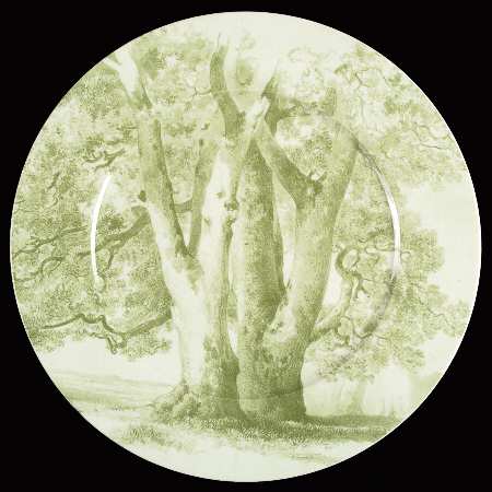 Parkland Green Service Plate (Charger)