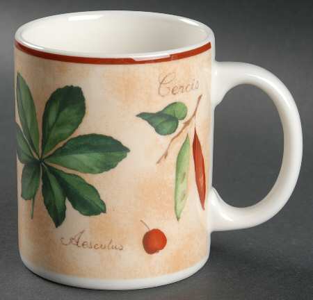 Tilia Mug