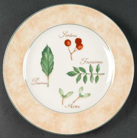Tilia Salad/Dessert Plate