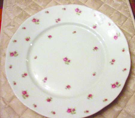 VIT250 Dinner Plate