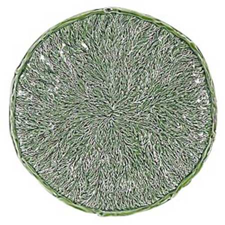 Cypress Service Plate (Charger)