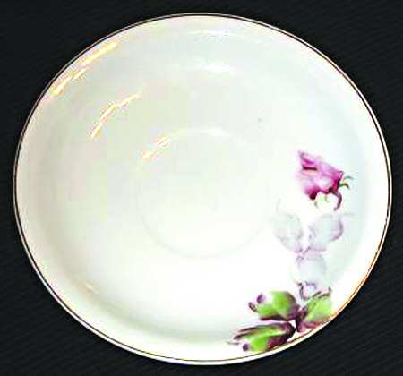 VIO1 Saucer