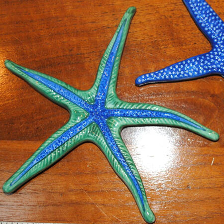 Triton Collection Starfish