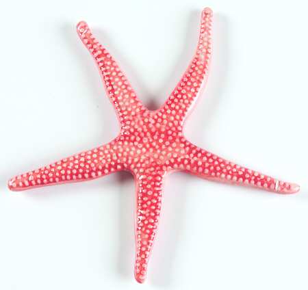 Triton Collection Starfish