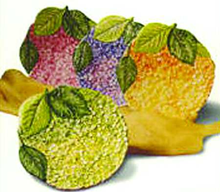 Hydrangea by Vietri (Italy)