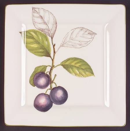 Cascara Square Dinner Plate