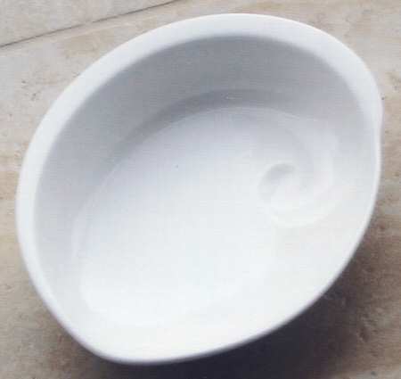 New Wave Ocean Rim Soup Bowl