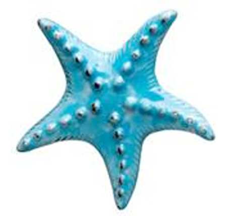Incanto Mare Aqua Starfish