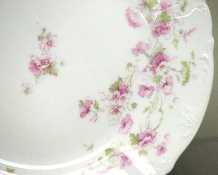VNN64 Dinner Plate