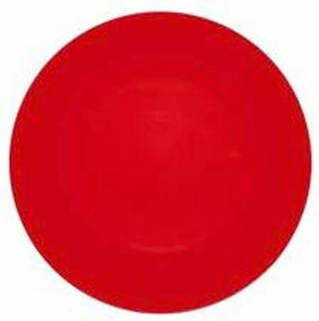 Vegetables Dinner Plate