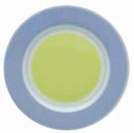 Viva Bread & Butter Plate