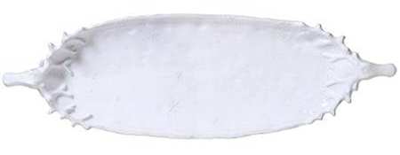 Bellezza Holiday 23" Oval Serving Platter