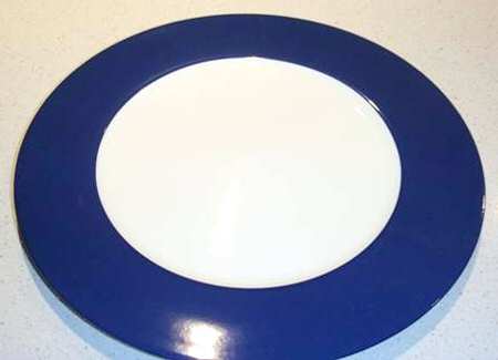 Indian Blue Dinner Plate