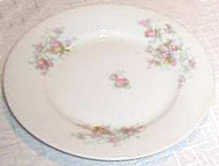 VNN48 Luncheon Plate