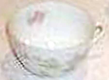 VNN48 Flat Cup