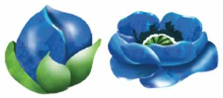 Indigo Garden Figural Salt & Pepper Set