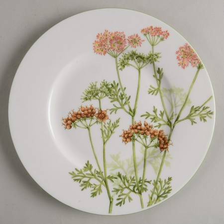 Althea Nova Salad Plate
