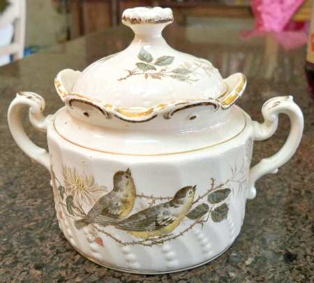 Aves by Villeroy &amp; Boch