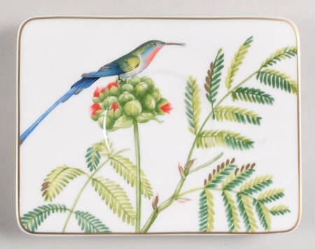 Amazonia Saucer for Square Flat Cup