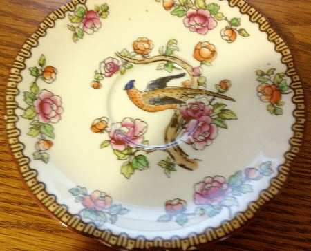 VIT366 Saucer