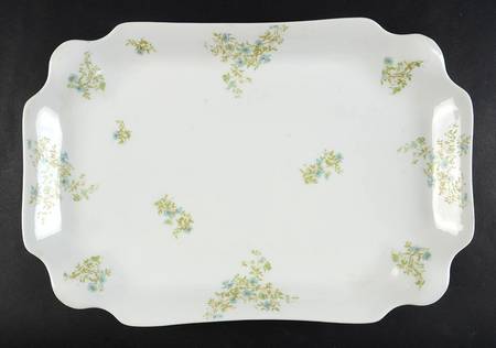 VNN83 16" Rectangular Serving Platter